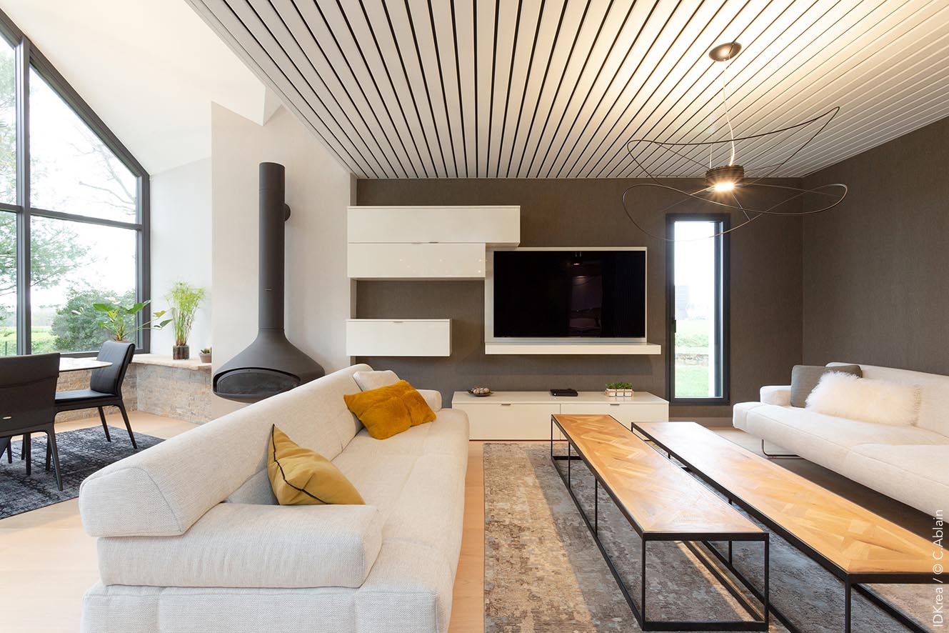 Salon élégant contemporain